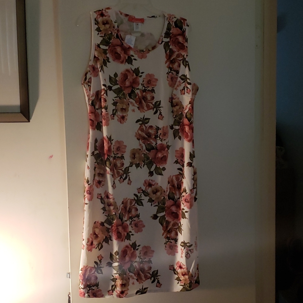 3/$30 Rainbow floral dresses
